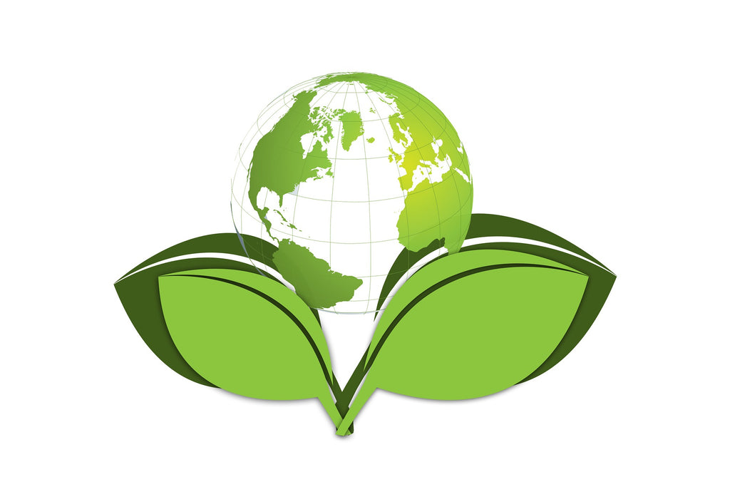 A Sustainable, Eco-Friendly Business
