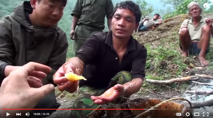 Interesting documentary about the hallucinogen honey hunters in Nepal.