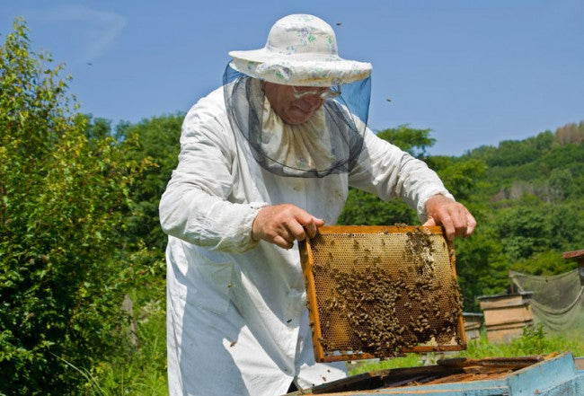 Organic Propolis and Honey Soap